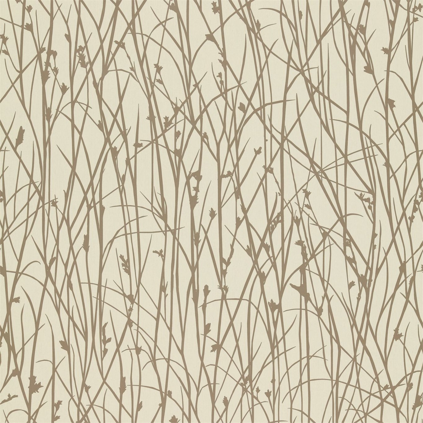 Harlequin Grasses Wallpaper HD Wallpapers Download Free Images Wallpaper [wallpaper981.blogspot.com]