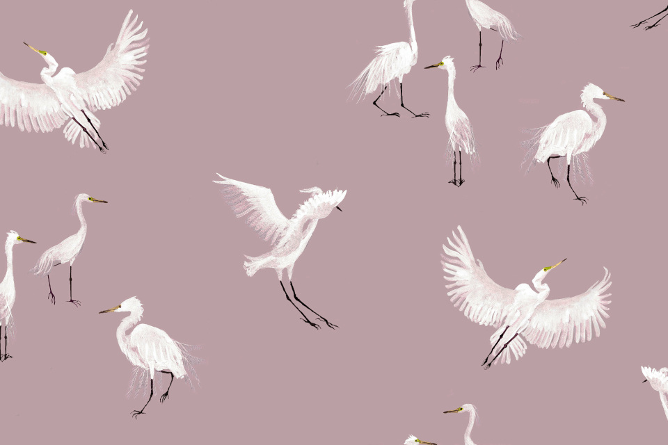 Petronella Hall - Egrets Wallpaper