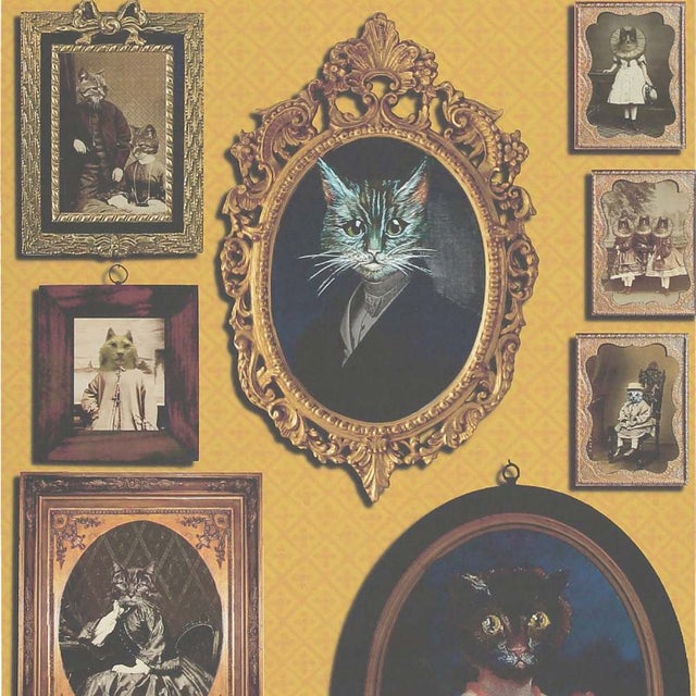 Graduate Collection - A Cavalcade of Cats Wallpaper