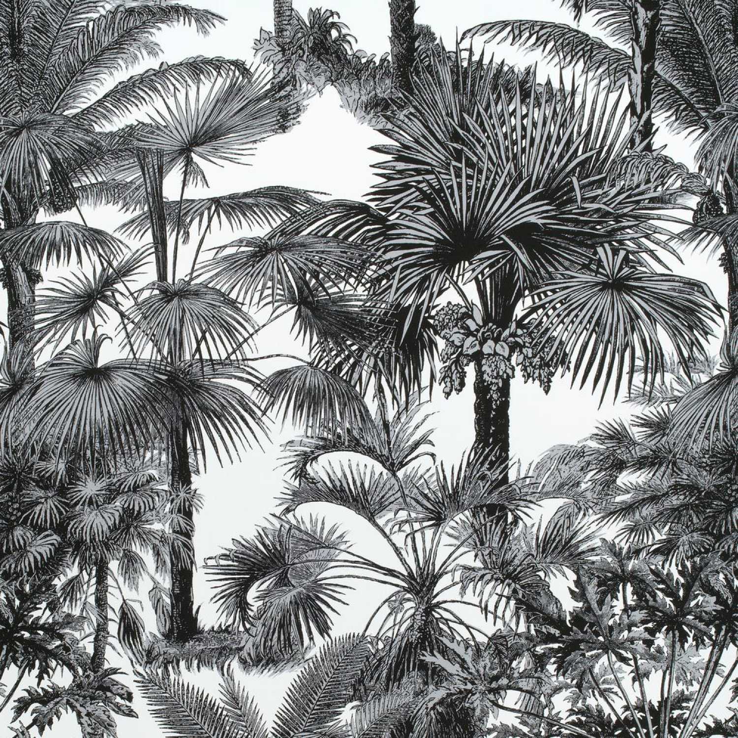 Black and White Fabric by the Yard Upholstery, Island Fan Palm Tree Leaves  Caribbean Plants Jungle Foliage Ocean Beach, Decorative Fabric for DIY and  Home Accents, Charcoal Grey by Ambesonne 